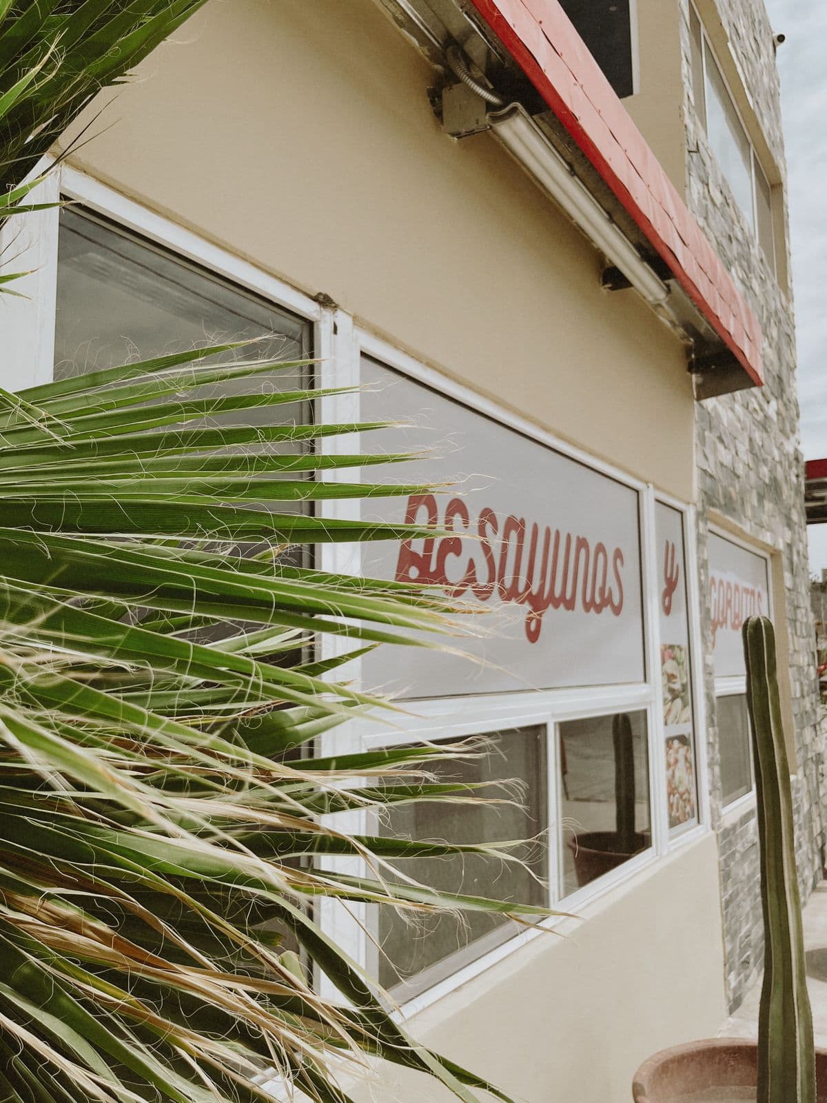 Noas Hotel imagen 14